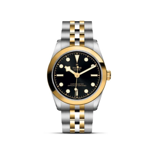 TUDOR Black Bay 31 S&G